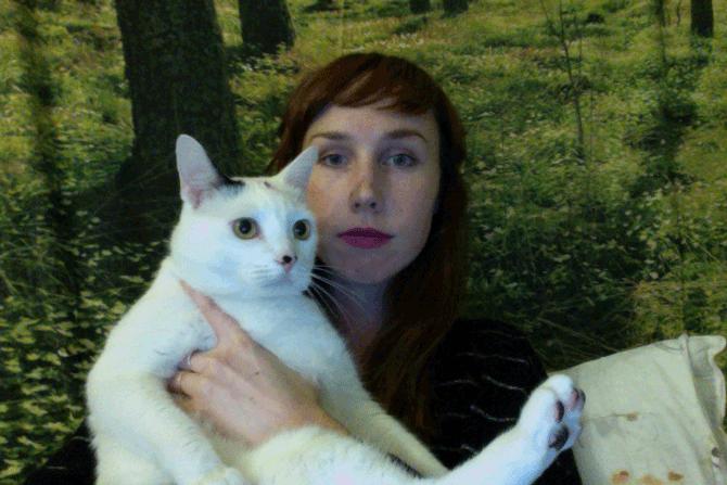 猫害怕铲屎官怎么办,为啥每次铲屎猫咪会害怕