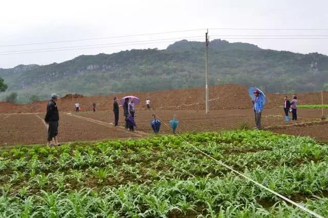 在农村不打工能做什么,农村不种地干什么挣钱最快