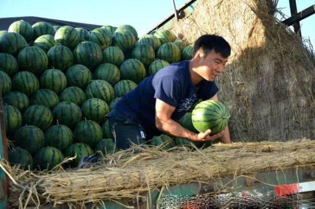 在农村不打工能做什么,农村不种地干什么挣钱最快