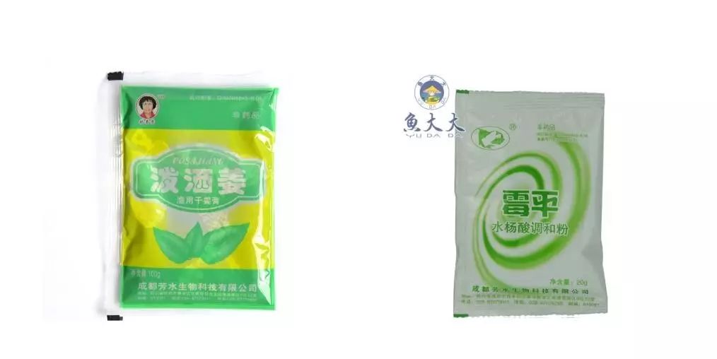 黄骨鱼病了怎么办,黄骨鱼水霉病的治疗方法