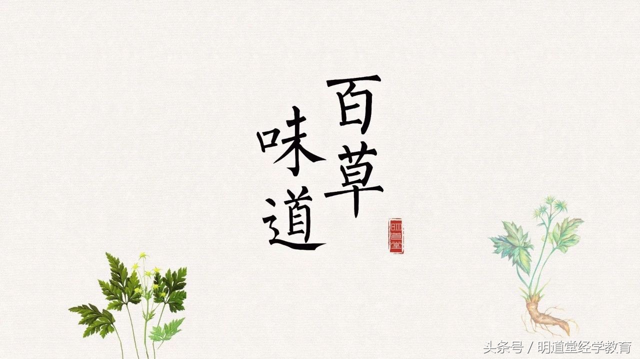 百草味道丨张琼:苦口的药,“良”在哪儿呢?