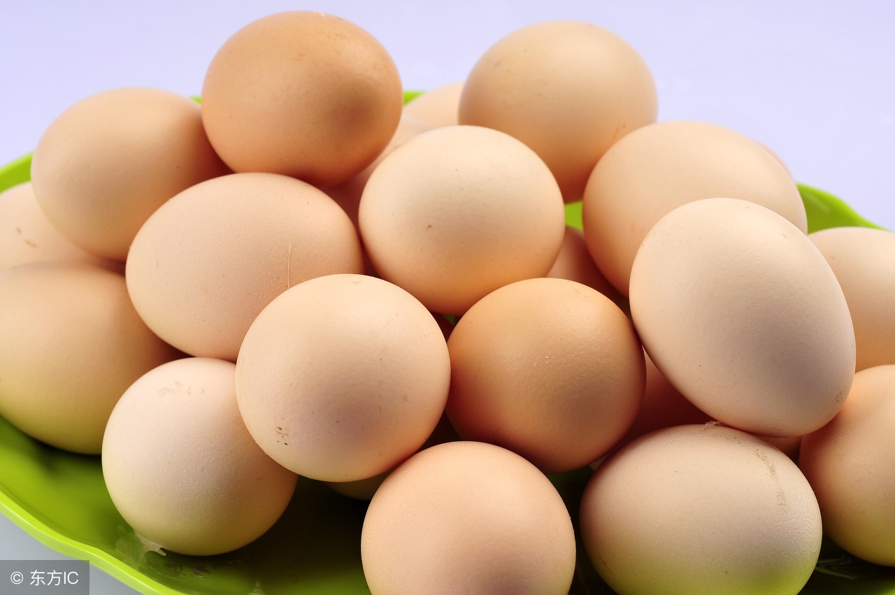 蛋鸡吃蛋怎么办,蛋鸡产蛋无高峰的解决方法