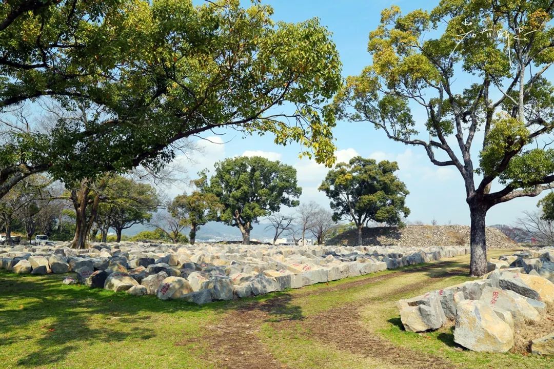 一次游轮之旅,一次悠闲惬意的美好旅行