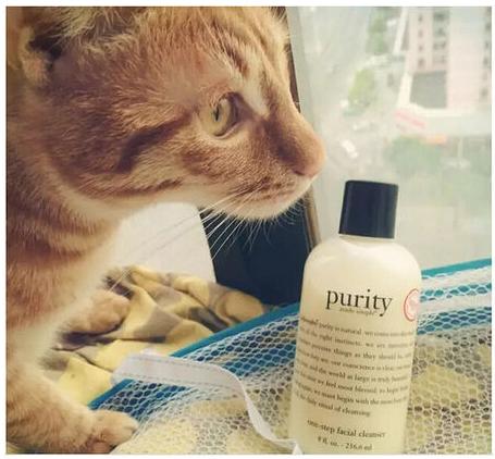 有哪些化妆品用过后确实很好用,哪些相见恨晚的化妆品