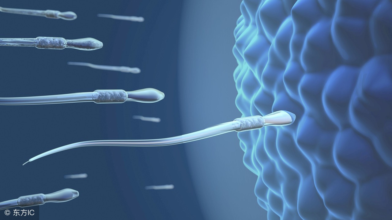 备孕妈妈早知道,备孕妈妈必看卵巢的调理