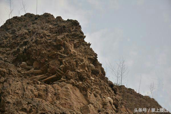 北朝壁画墓发现及考古始末,北朝考古博物馆纪录片