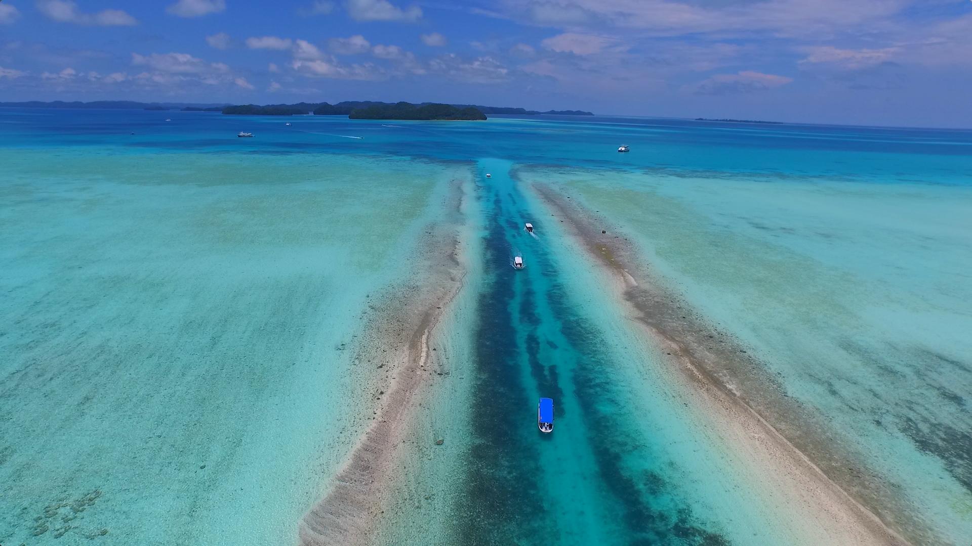 经常熬夜的人！一定要来帕劳看看！用帕劳蓝治愈你的失眠焦虑！