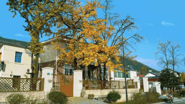 给你一个爱上电影的理由,给你一个爱上丽江的理由