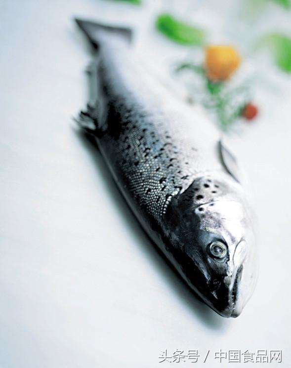 京东淡水三文鱼,京东生鲜智利三文鱼段