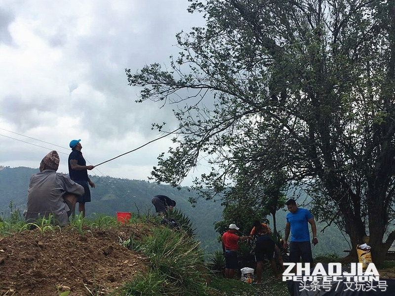 鱼嘴凤眼菩提属于什么档次的凤眼,凤眼菩提为什么越小越贵