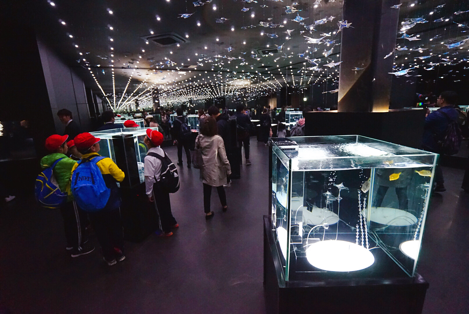 日本大阪之旅感受,日本自由行大阪游记