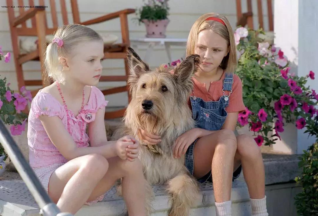 十大经典狗片排行榜国外,评价最高的十部关于狗的电影