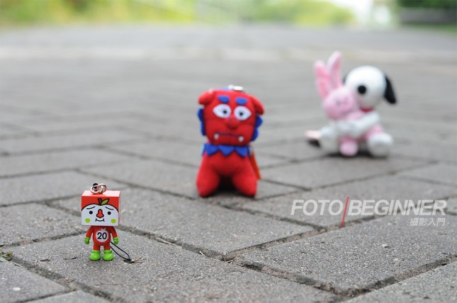 新手拍照必学15个拍摄技巧,拍摄浅景深的4种简单方法