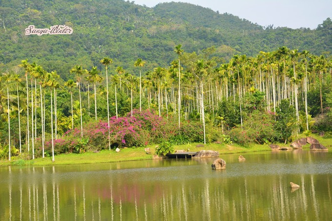 相约海之南歌曲,浪漫走天涯相约海之南