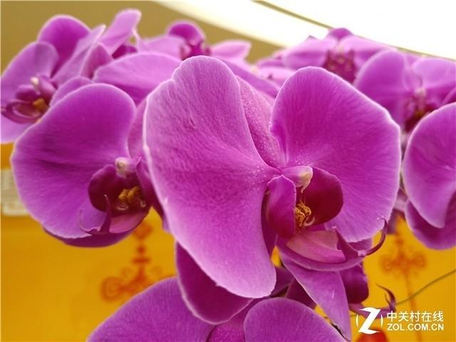 2020年再看oppor15怎么样,oppor15梦镜版与标准版测评