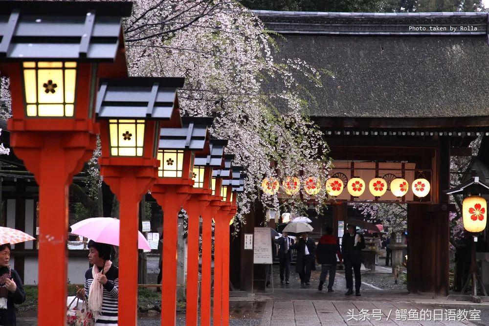 2018樱花,日本樱花节一览表