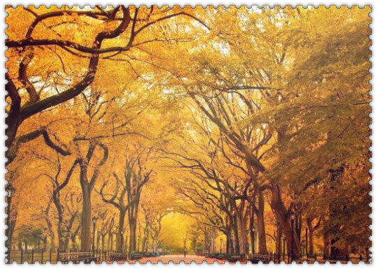 春天是什么颜色夏天是什么颜色,春天夏天秋天冬天分别是什么颜色