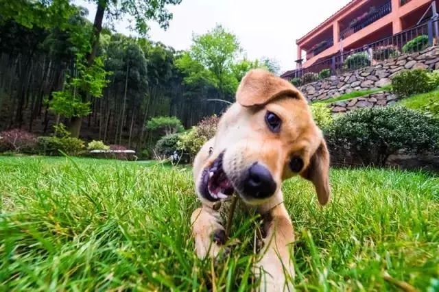 当东方遇上西方,当东方遇见西方戛纳