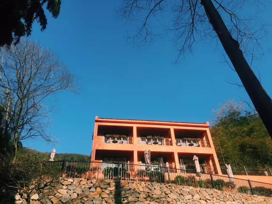 当东方遇上西方,当东方遇见西方戛纳