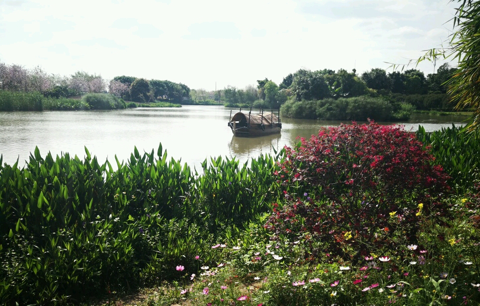 海珠湖国家湿地公园钓鱼,海珠湖国家湿地公园开放时间