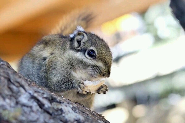 海珠湖国家湿地公园钓鱼,海珠湖国家湿地公园开放时间