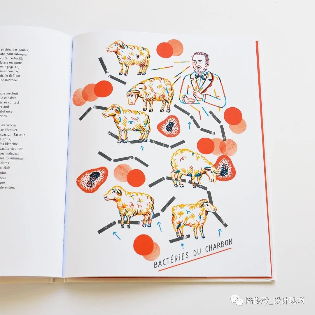 国际获奖26本绘本,2019年最佳绘本