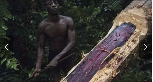 致雅二胡,初学二胡者用什么样的二胡最好