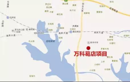 4000亿串起黄金路,光谷中心将东移8公里,葛店成新焦点!