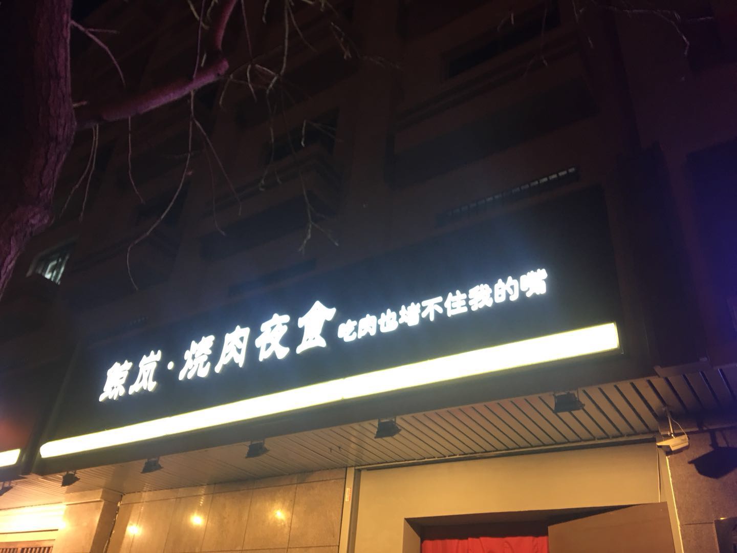 猫猫在路上,猫猫在路上走