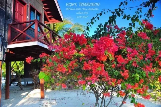 全球热门海岛选岛攻略！你最中意哪个？