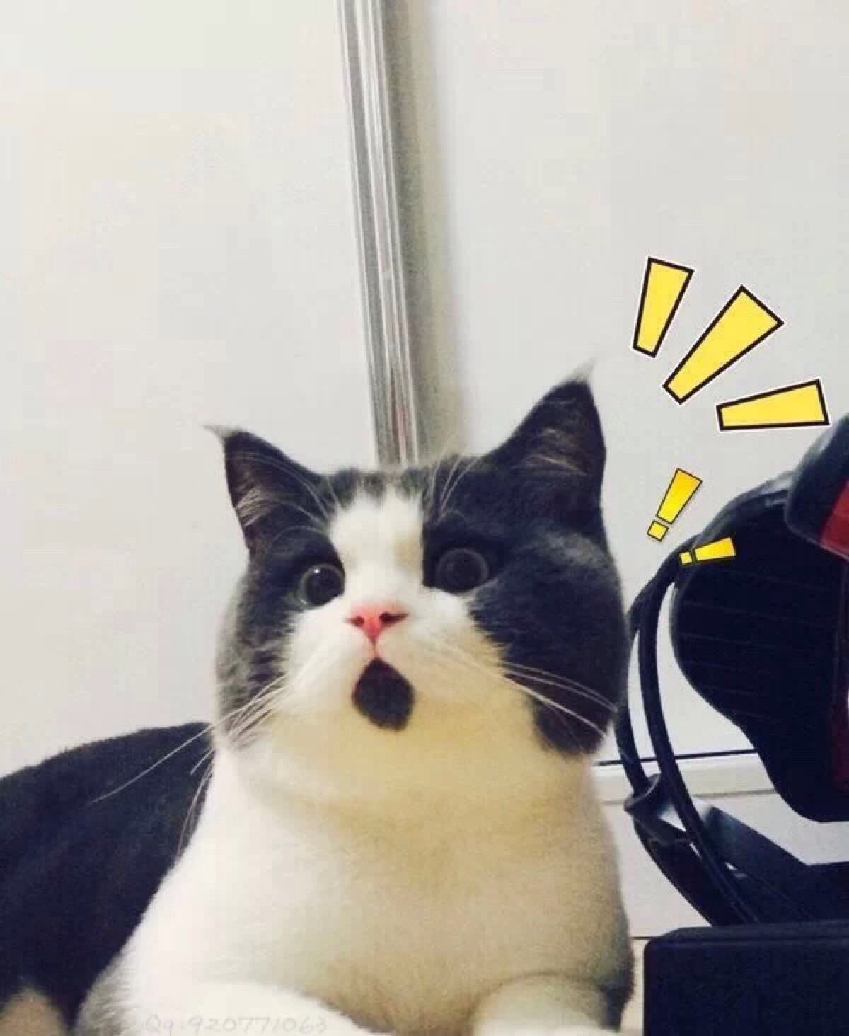 还有哪些护肤品被曝光了的,又双叒叕美容