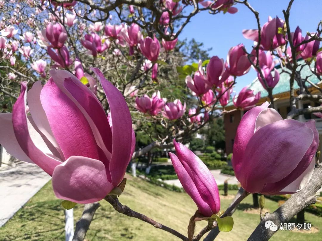 中山纪念中学100周年校庆,中山纪念中学80周年校庆