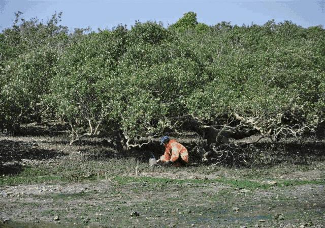 春风十里，不如花开万株！周末去哪？带你玩转特呈岛！