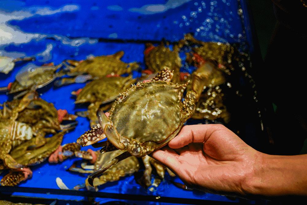 全西安最值得去的饭店,全西安最大的海鲜餐厅