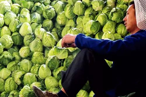 农产品众筹种植怎么做,特色农产品众筹策略