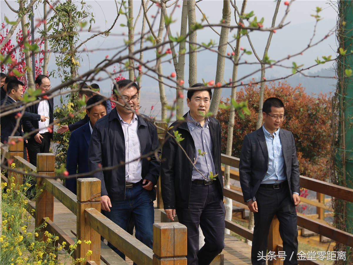 金堂玉皇山生态康养,金堂县玉皇养生谷详细介绍