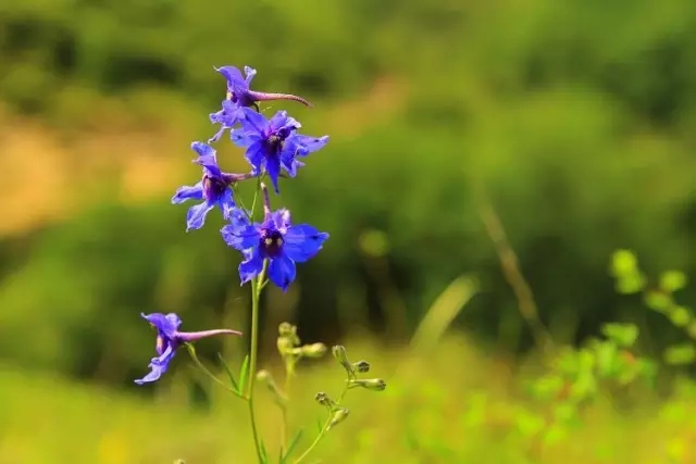 易县云蒙山皇家森林公园附近爬山,易县周边适合带孩子爬山的地方