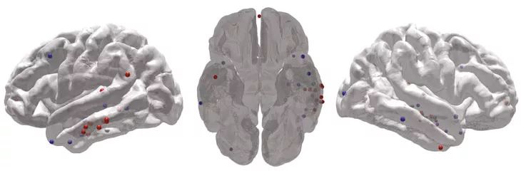 脑波怎么调整最有效,脑波能阻挡想法吗