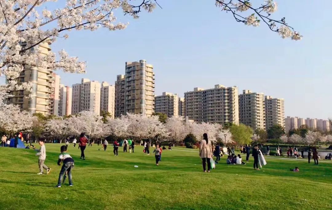 5万㎡大树草坪！金融区森林豪宅，它或是“世界杭”又一张新名片