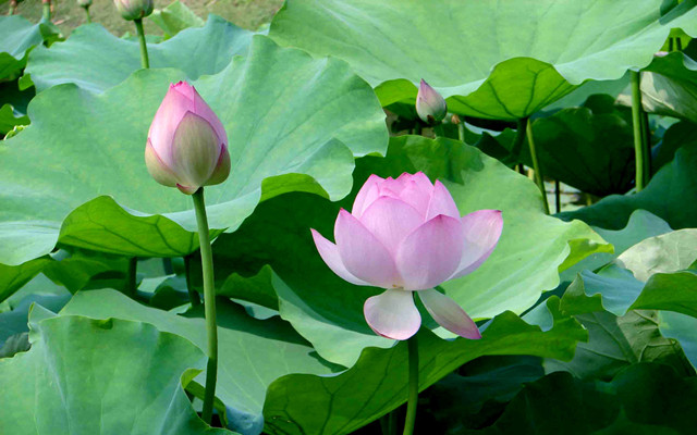 测试自己名字适合的数字,测自己名字的凶吉