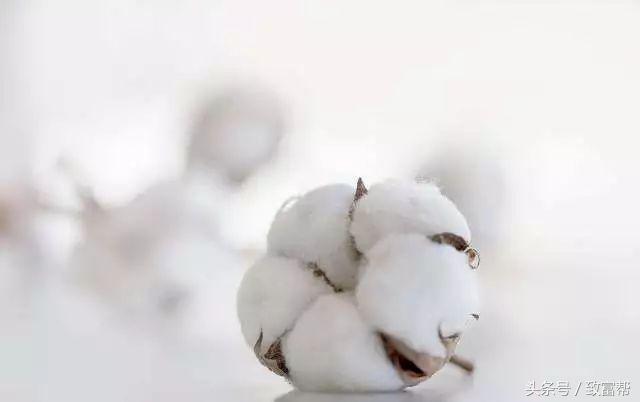 一周内致富锦囊,过去一周致富信息