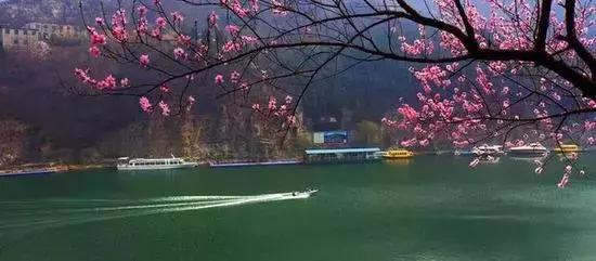 12处桃花源，为河南最美的春天代言，你认为怎样？欢迎添加