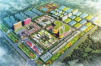 山东青岛胶州网红,胶州新网红