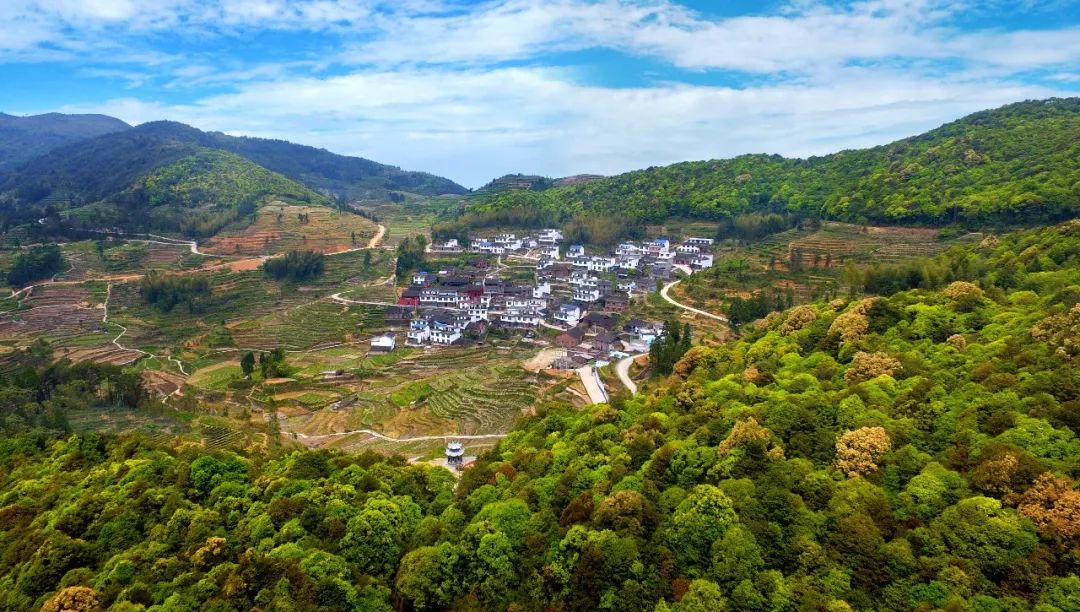 柘荣黄柏景点,柘荣黄柏村旅游攻略