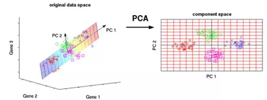 如何理解特征值与特征向量,特征值与特征向量知识点总结