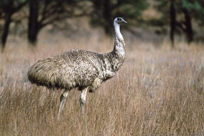 历史上最让人落泪的七大历史瞬间,历史上那些毫无意义的战争
