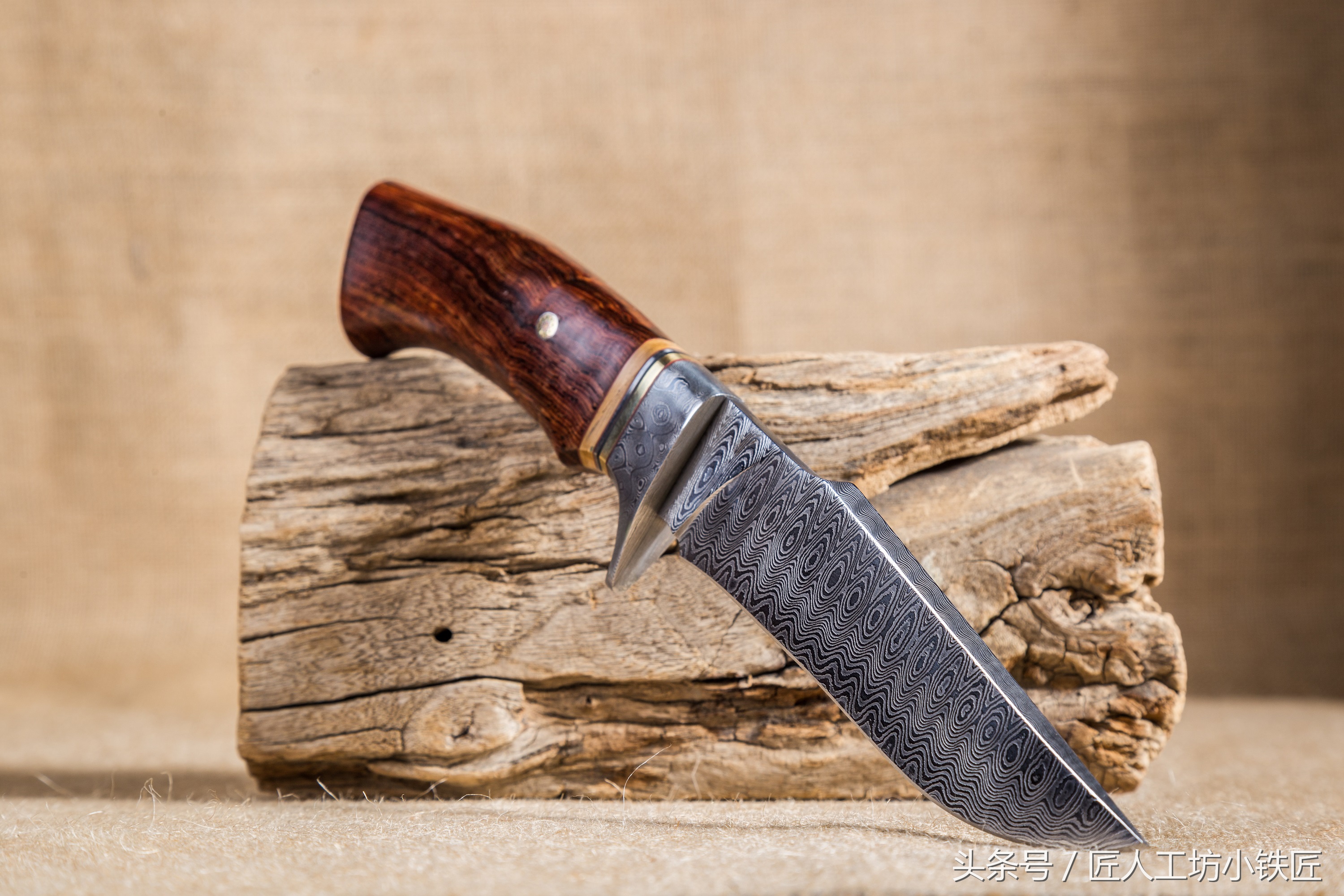 大马士革钢传奇：龙血淬火