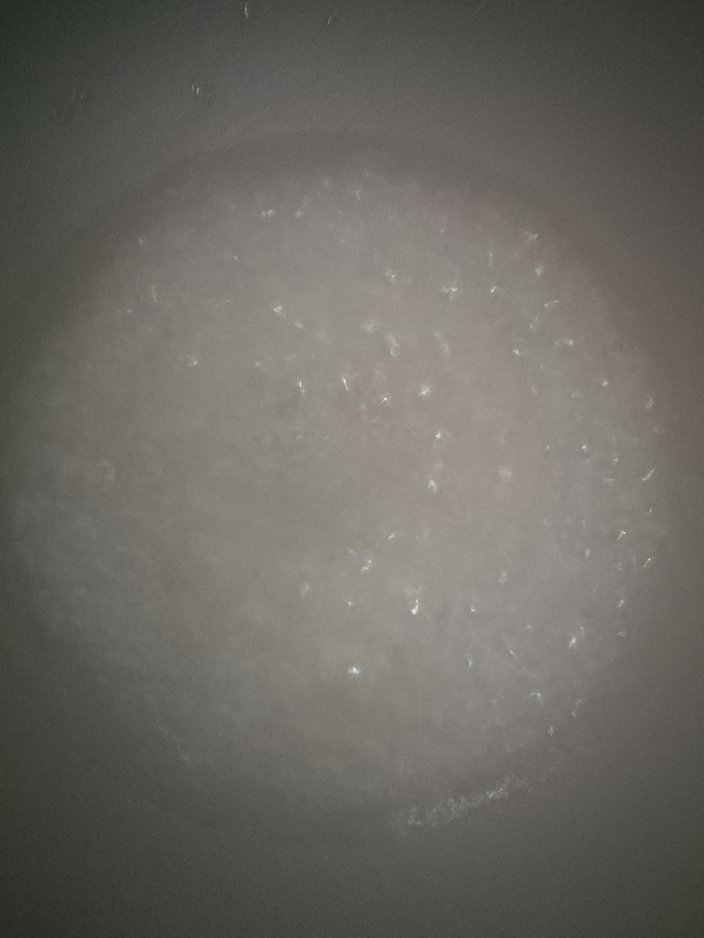 怎样制作豌豆凉粉更有筋道而好吃,自己在家做爽口筋道的豌豆凉粉儿