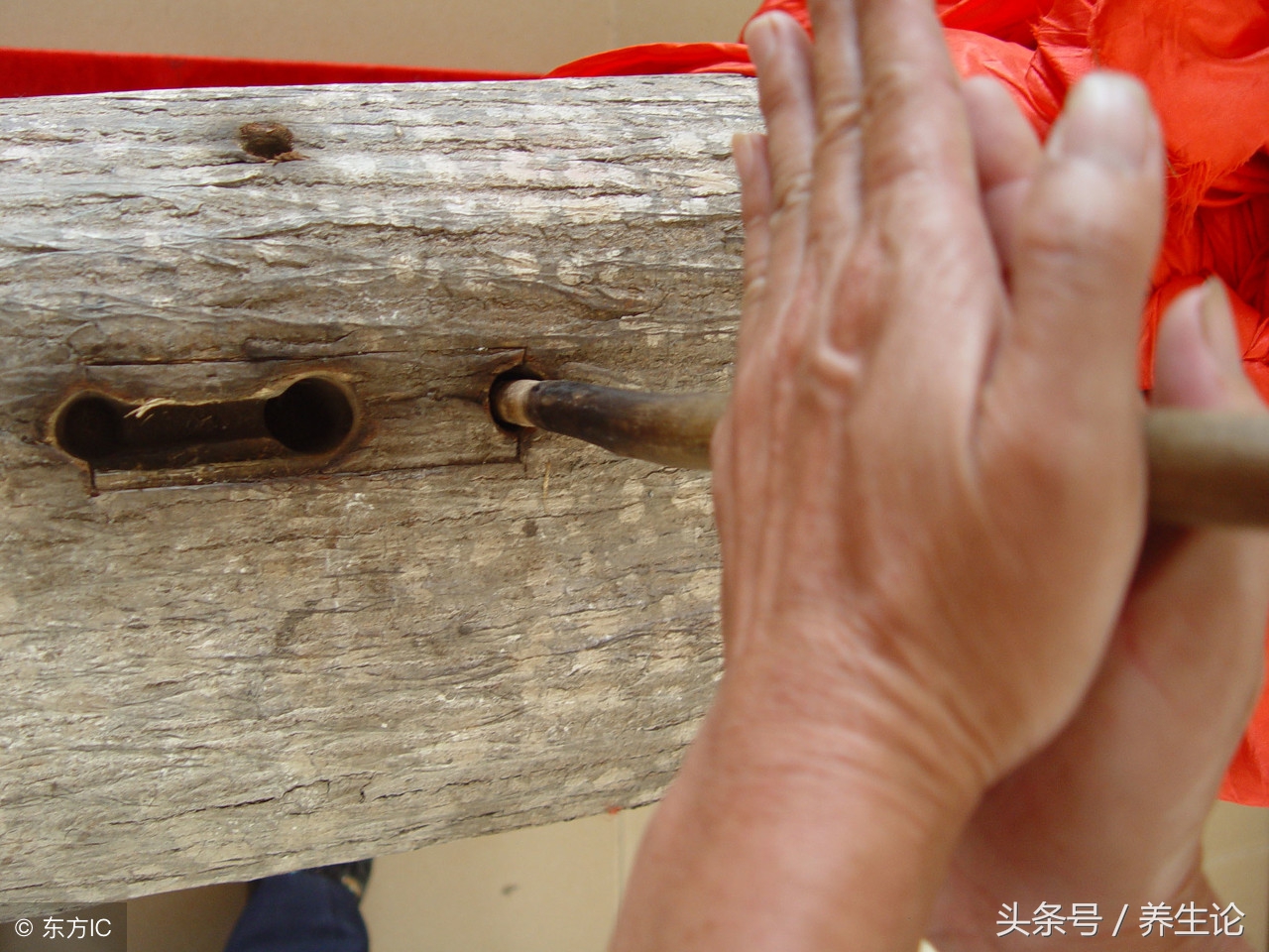 养生的发展史,系统了解养生知识。