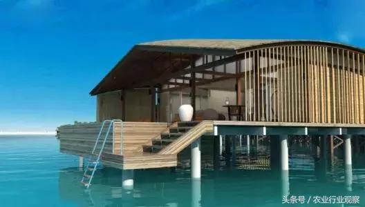 行业观察如何发展品牌农业,如何打造农业品牌知名度